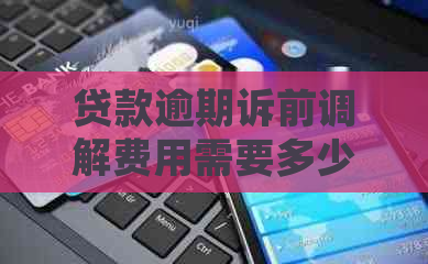 贷款逾期诉前调解费用需要多少