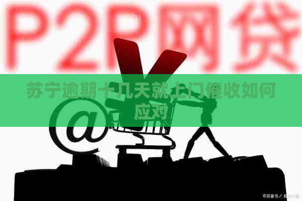 苏宁逾期十几天就上门如何应对