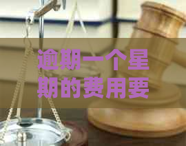 逾期一个星期的费用要多少