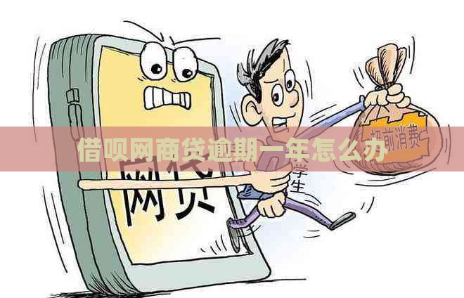 信用卡白条贷逾期一年怎么办