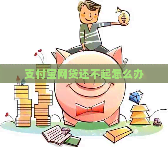 信用卡网贷还不起怎么办
