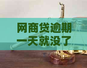白条贷逾期一天就没了