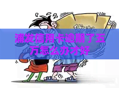 浦发信用卡逾期了五万怎么办才好