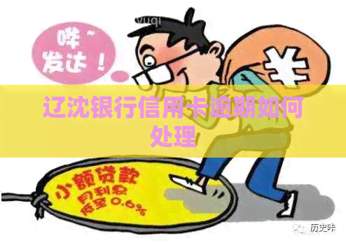 辽沈银行信用卡逾期如何处理