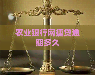 农业银行网捷贷逾期多久