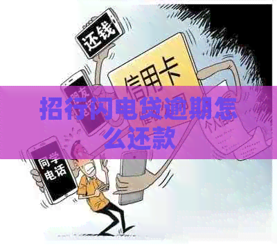招行闪电贷逾期怎么还款