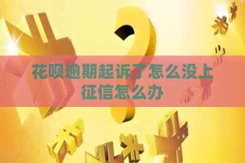 白条逾期起诉了怎么没上怎么办