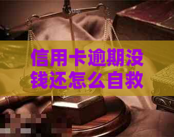 信用卡逾期没钱还怎么自救如何解决