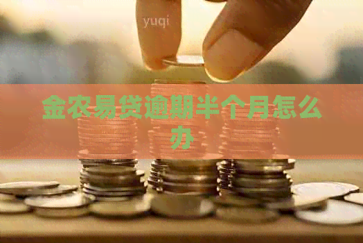 金农易贷逾期半个月怎么办
