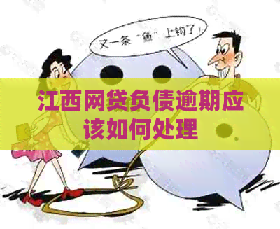 江西网贷负债逾期应该如何处理