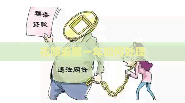 白条逾期一年如何处理