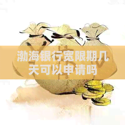 渤海银行宽限期几天可以申请吗