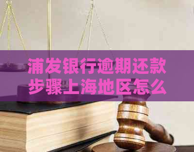 浦发银行逾期还款步骤上海地区怎么操作