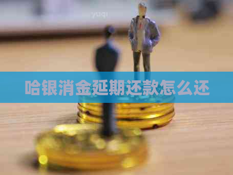 哈银消金延期还款怎么还