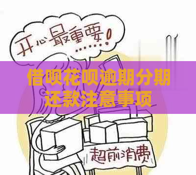 信用卡白条逾期分期还款注意事项
