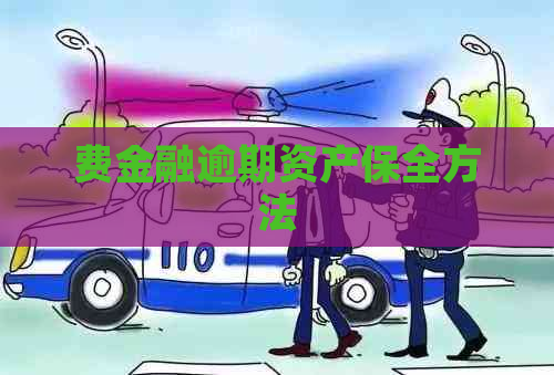 费金融逾期资产保全方法