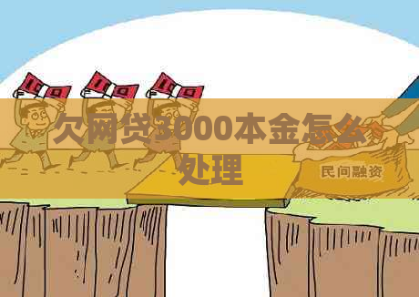 欠网贷3000本金怎么处理