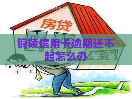 铜陵信用卡逾期还不起怎么办
