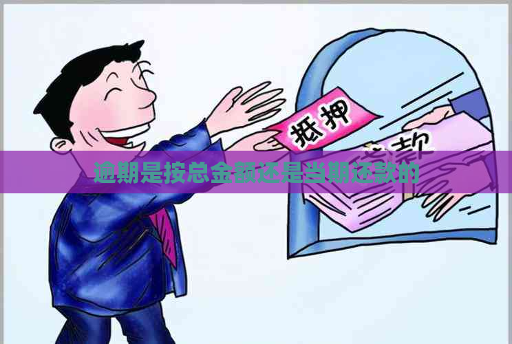 逾期是按总金额还是当期还款的