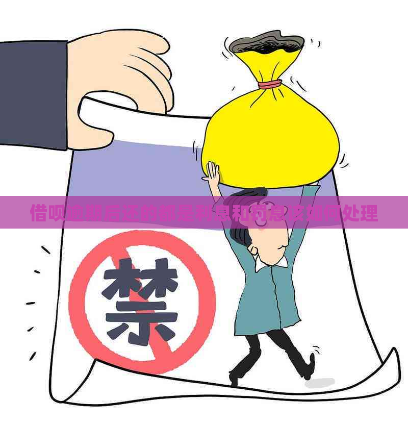 借呗逾期后还的都是利息和罚息该如何处理