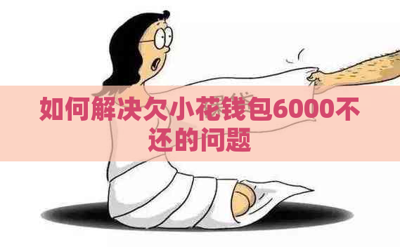 如何解决欠小花钱包6000不还的问题