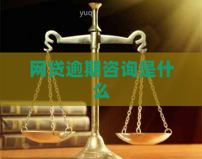 网贷逾期咨询是什么