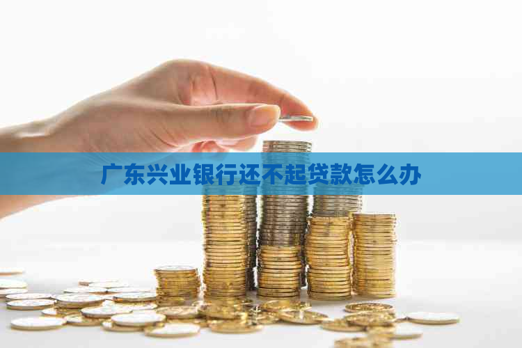 广东兴业银行还不起贷款怎么办