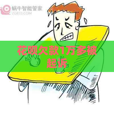 花呗欠款1万多被起诉