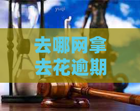 去哪网拿去花逾期3天