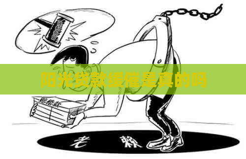 阳光贷款缓催是真的吗
