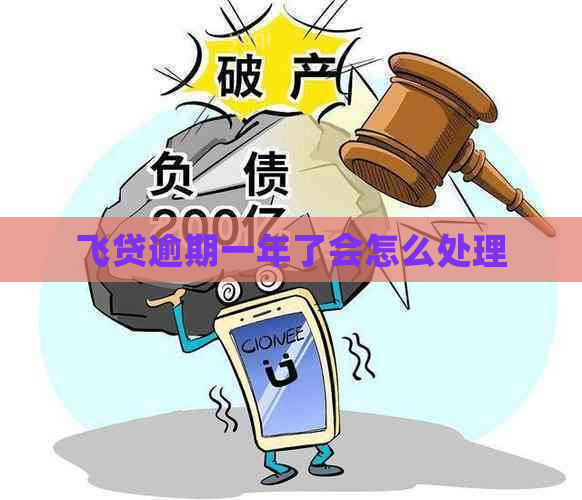 飞贷逾期一年了会怎么处理