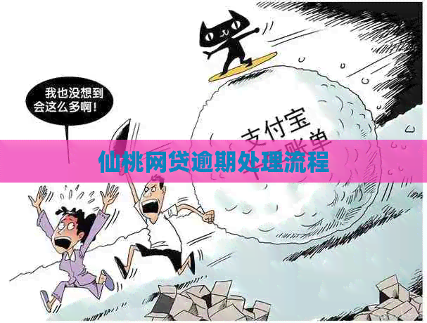 仙桃网贷逾期处理流程