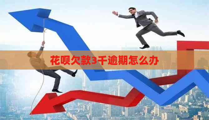 花呗欠款3千逾期怎么办