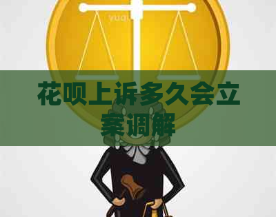 白条上诉多久会立案调解