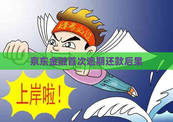京东金融首次逾期还款后果