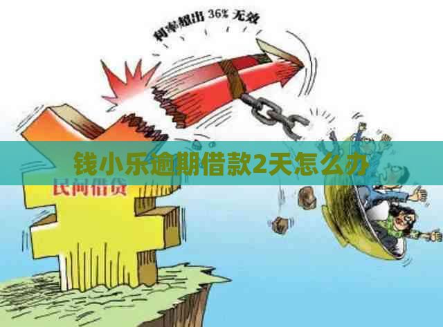钱小乐逾期借款2天怎么办