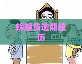 蜂蜂贷逾期经历
