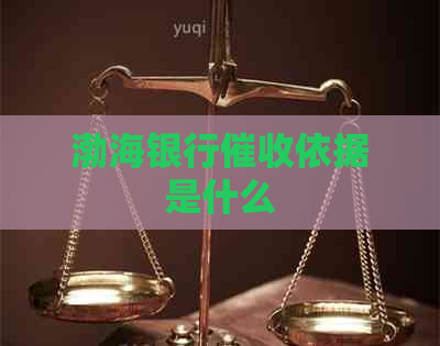 渤海银行依据是什么