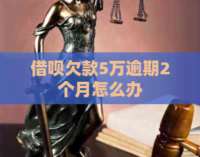 信用卡欠款5万逾期2个月怎么办
