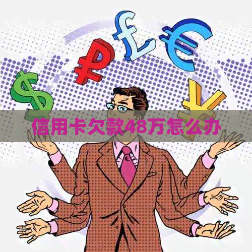 信用卡欠款48万怎么办