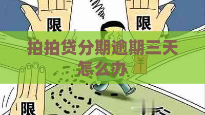 分期逾期三天怎么办