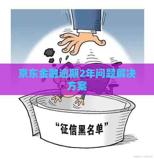 京东金融逾期2年问题解决方案