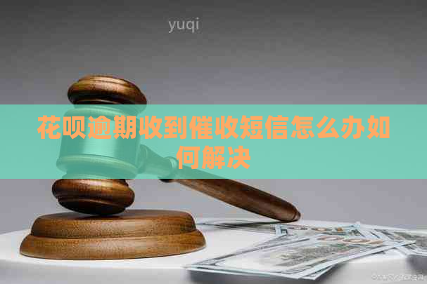 白条逾期收到短信怎么办如何解决