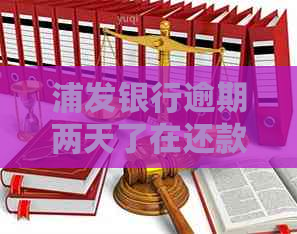 浦发银行逾期两天了在还款怎么办