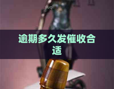 逾期多久发合适