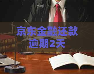 京东金融还款逾期2天