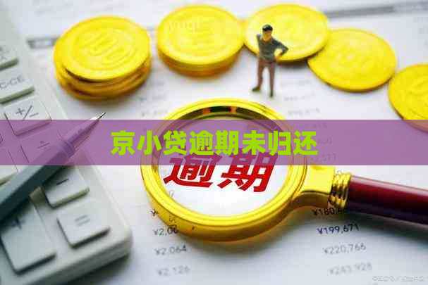 京小贷逾期未归还