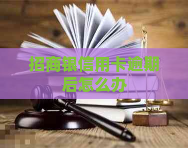 招商银信用卡逾期后怎么办