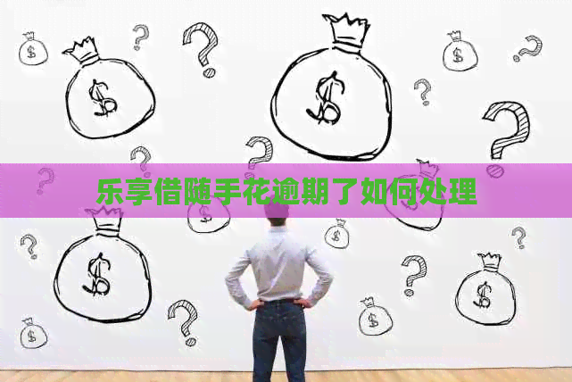乐享借随手花逾期了如何处理
