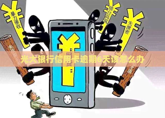 光大银行信用卡逾期6天该怎么办